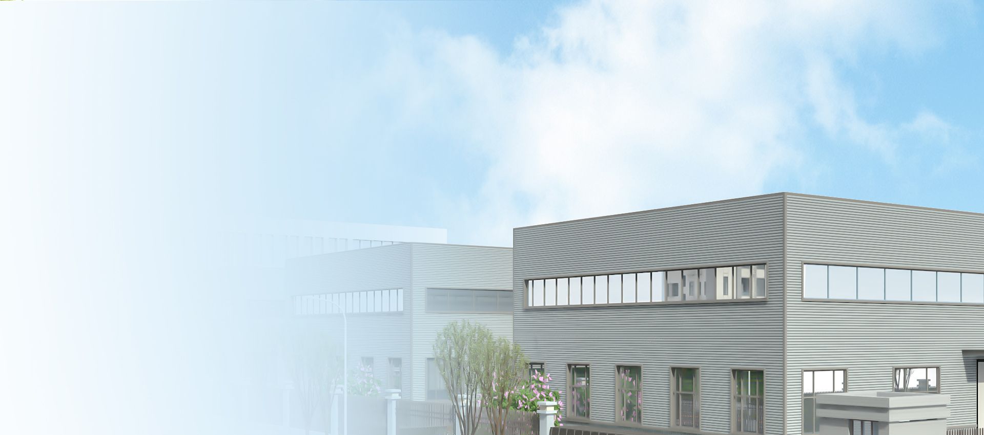 Company background